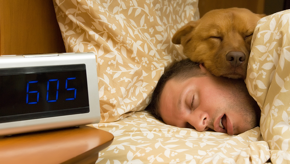 Sleep Apnea: Why Top Experts Are Calling This the Most Ingenious Pillow of 2025